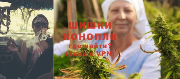 индика Лихославль