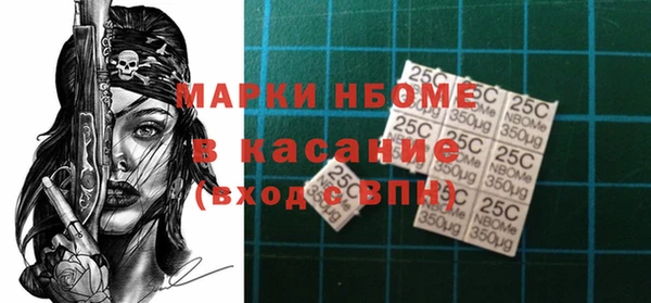 крисы Лабытнанги