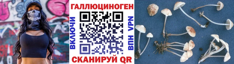 нарко площадка какой сайт  Руза  кракен онион  Псилоцибиновые грибы GOLDEN TEACHER  сколько стоит 